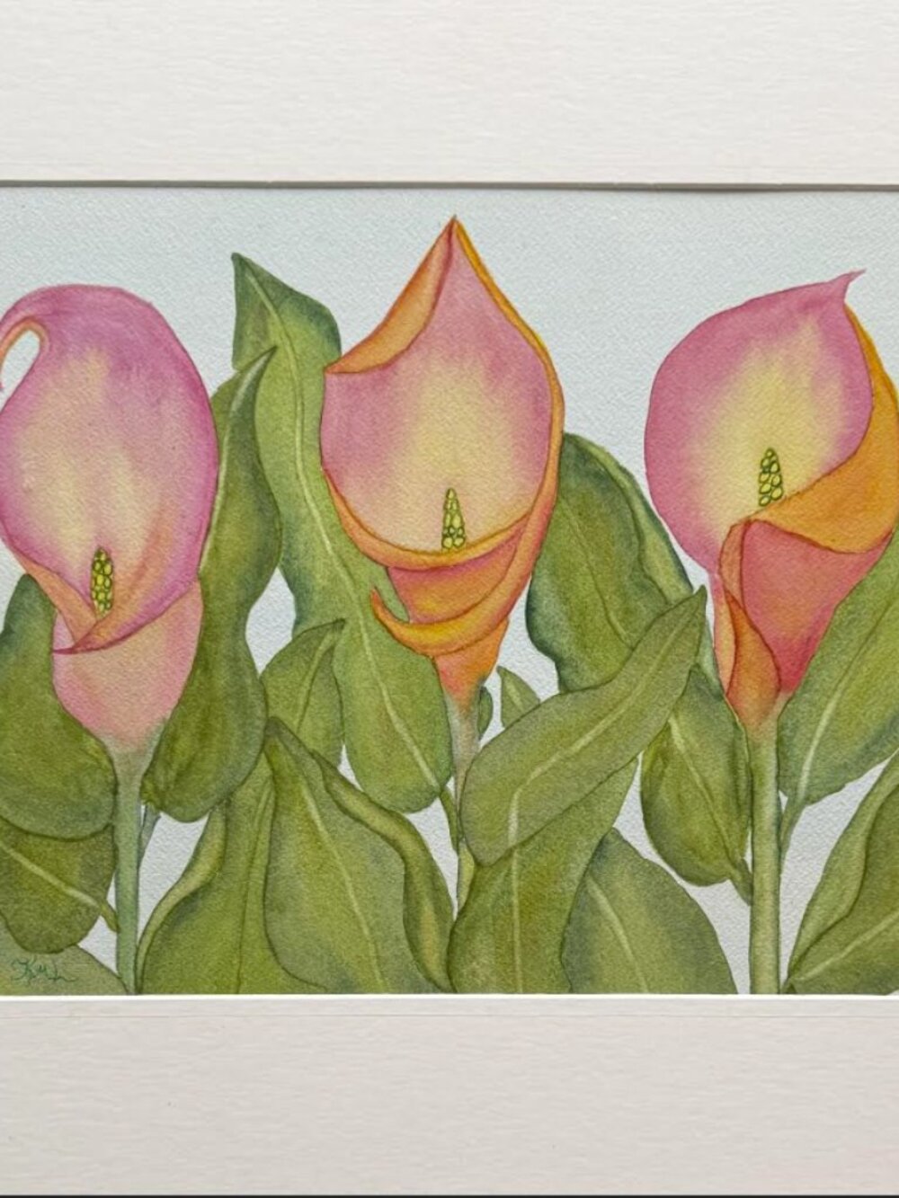 Painting Watercolor Flower Calla Lily Pink Coral Orange 11x14 & Mat 16x20 Art